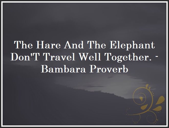 The Hare And The Elephant Don