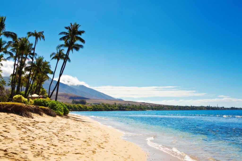 The Kaanapali Beach on the west shore of the island of Maui in Hawaii. A beautiful sandy beach lined with luxury restaurants, resorts and hotels, a popular tourists destination in Hawaii. Photographed in horizontal format with copy space on location in Maui Hawaii.