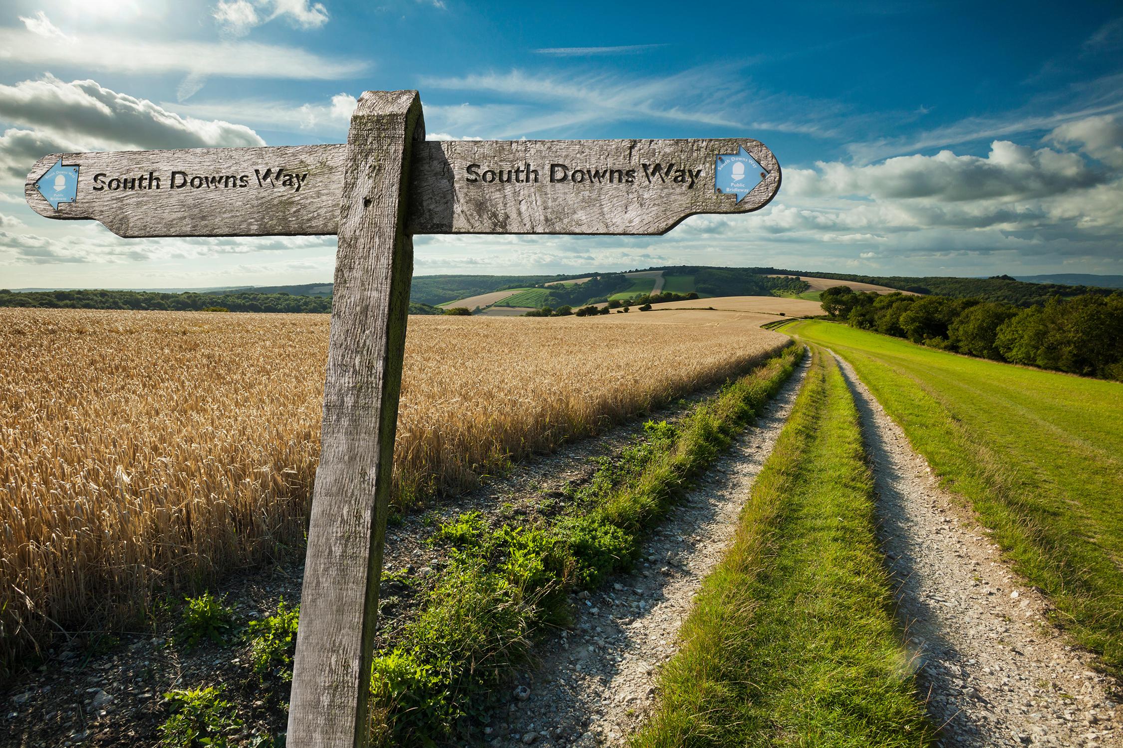 Walking The South Downs Way: Walking Routes & Information